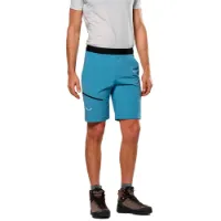 Salewa Puez 4 Shorts