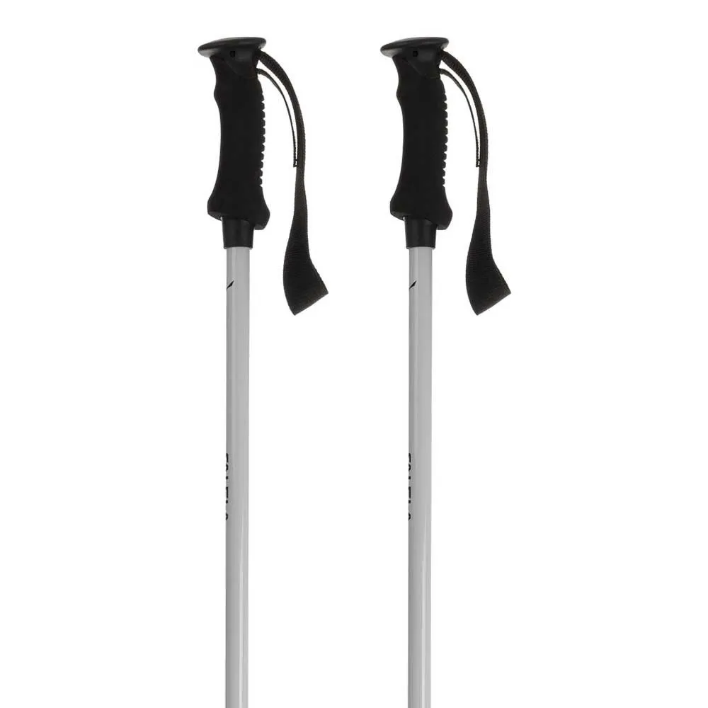 Salewa Puez Aluminum Pro Stavar