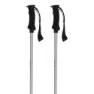 Salewa Puez Aluminum Pro Stavar