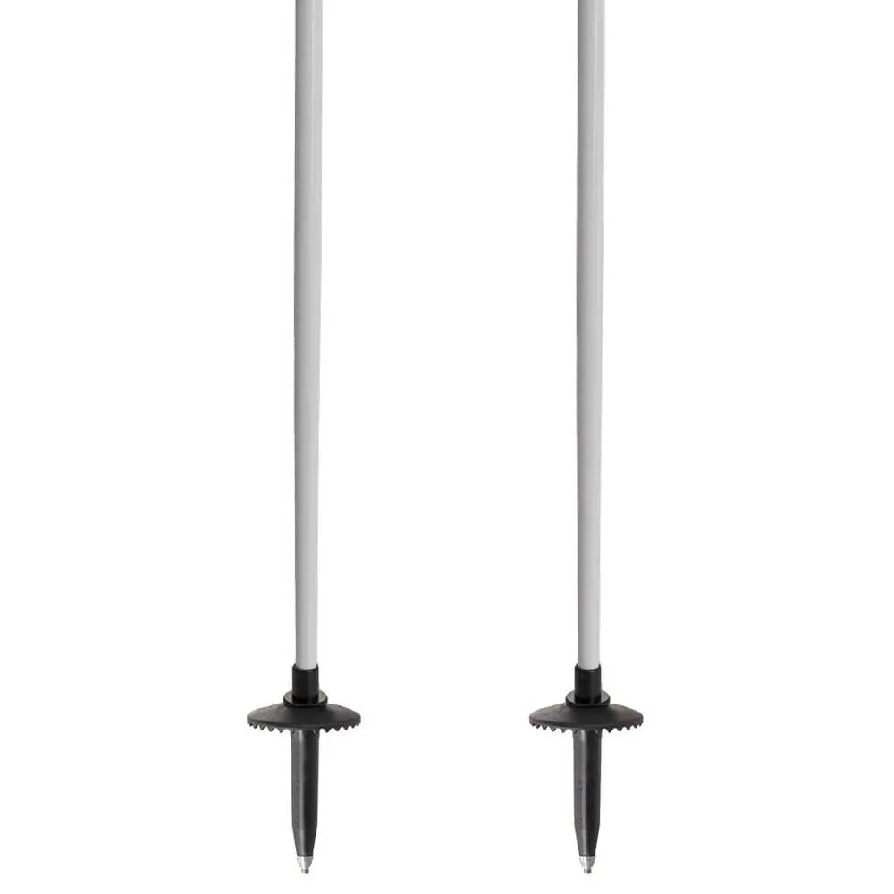 Salewa Puez Aluminum Pro Stavar