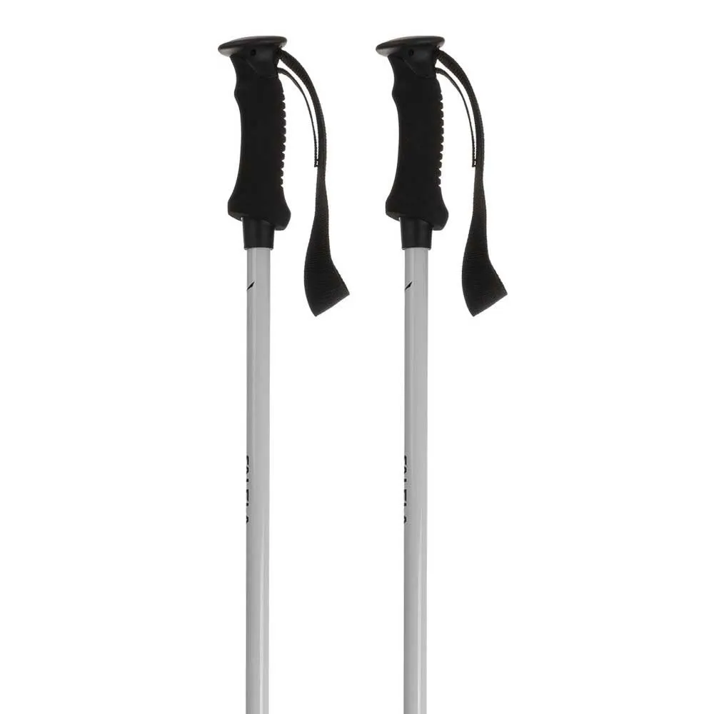 Salewa Puez Aluminum Stavar