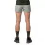 Salewa Puez Dst Shorts