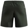 Salewa Puez Talveno 4 Shorts