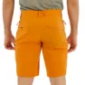 Salewa Puez Talveno Dst Shorts