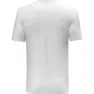 Salewa Pure Design Dry T-shirt Med Korta ärmar