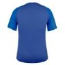 Salewa Seceda Dryton T-shirt Med Korta ärmar