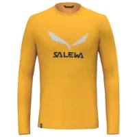 Salewa Solidlogo Dryton T-shirt Med Lång ärm