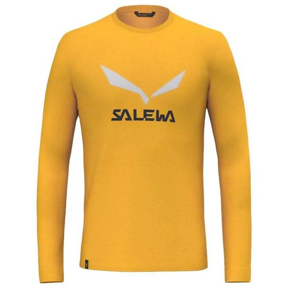 Salewa Solidlogo Dryton T-shirt Med Lång ärm