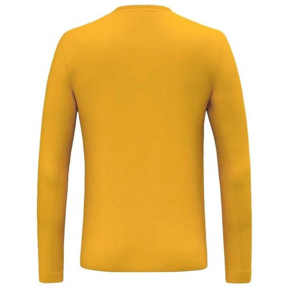 Salewa Solidlogo Dryton T-shirt Med Lång ärm