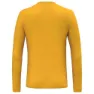 Salewa Solidlogo Dryton T-shirt Med Lång ärm