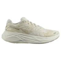 Salomon Aero Glide 2 Löparskor male Salomon Aero Glide 2 Löparskor male
