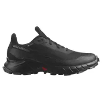 Salomon Alphacross 5 Goretex Trailskor male