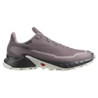 Salomon Alphacross 5 Goretex Trailskor male