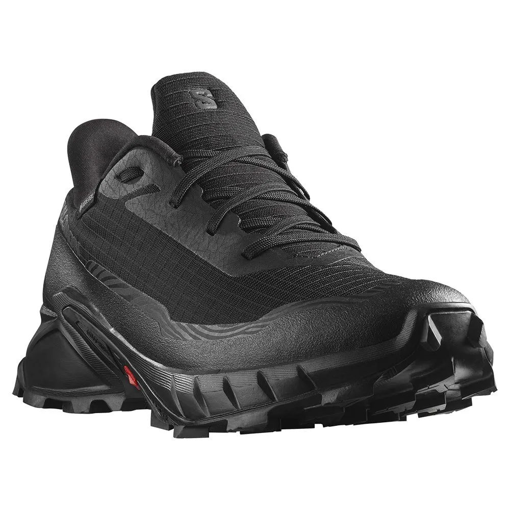 Salomon Alphacross 5 Goretex Trailskor male