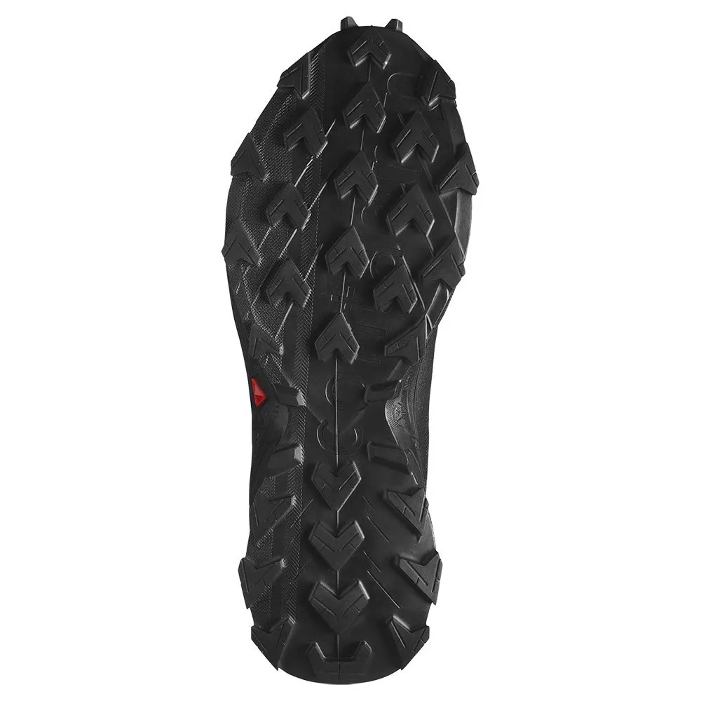 Salomon Alphacross 5 Goretex Trailskor male