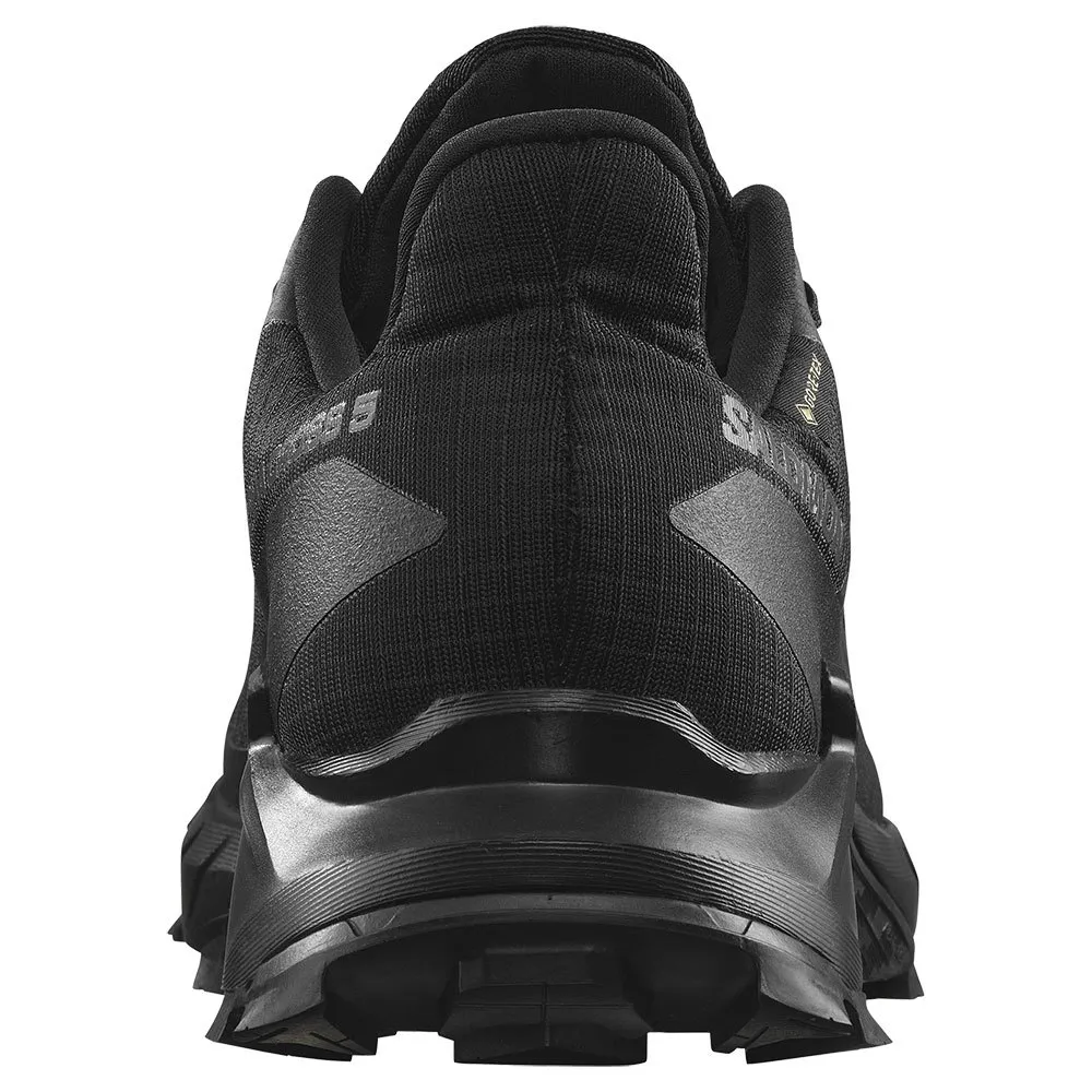 Salomon Alphacross 5 Goretex Trailskor male