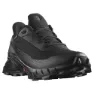 Salomon Alphacross 5 Goretex Trailskor male