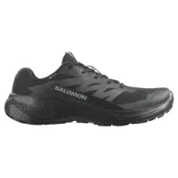 Salomon Alphaglide Goretex Trailskor male