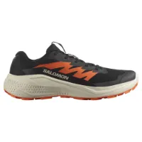 Salomon Alphaglide Trailskor female