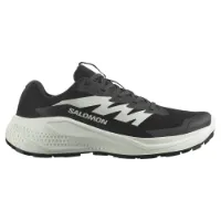 Salomon Alphaglide Trailskor male