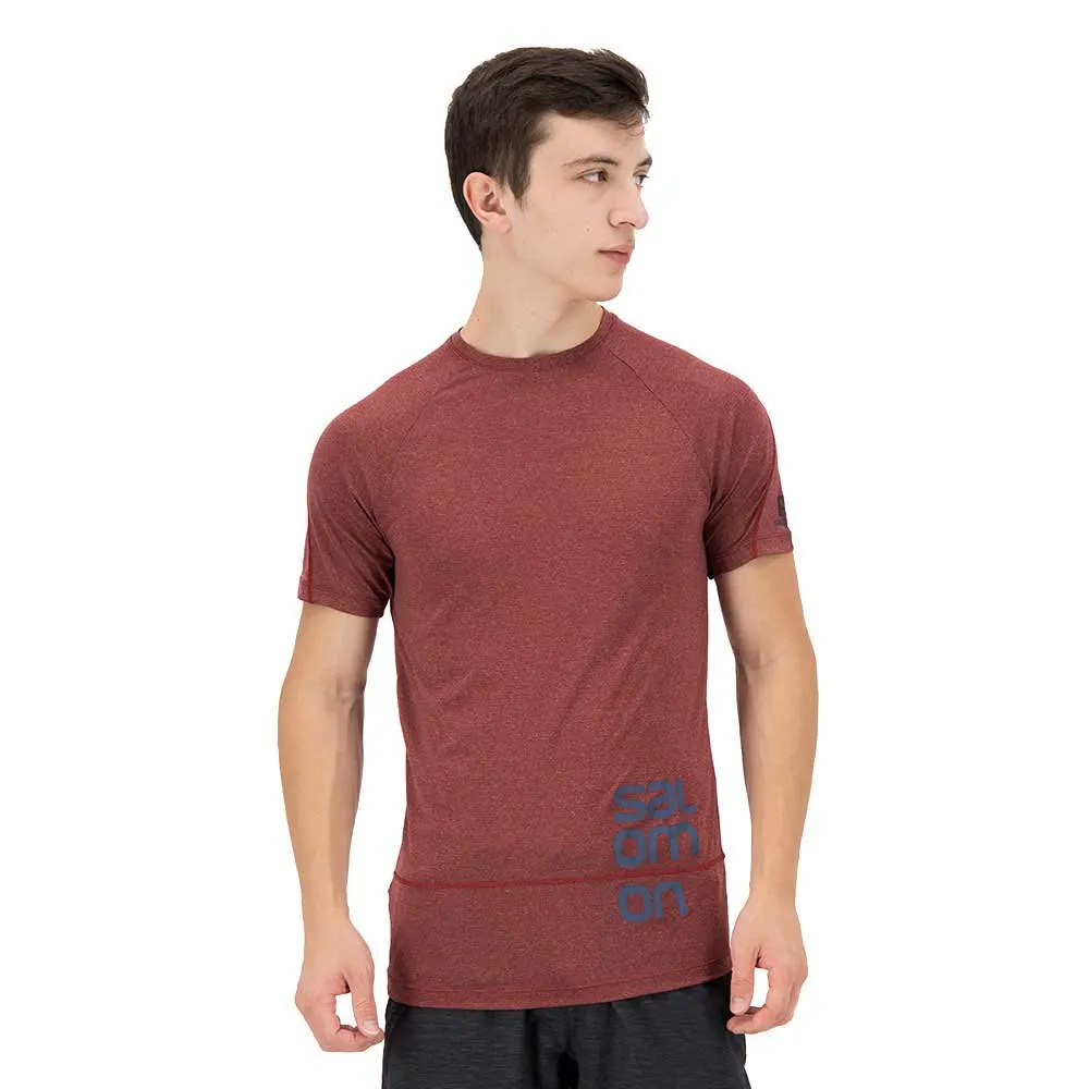 Salomon Cross Run Graphic T-shirt Med Korta ärmar male, Cabernet / dark denim / heather