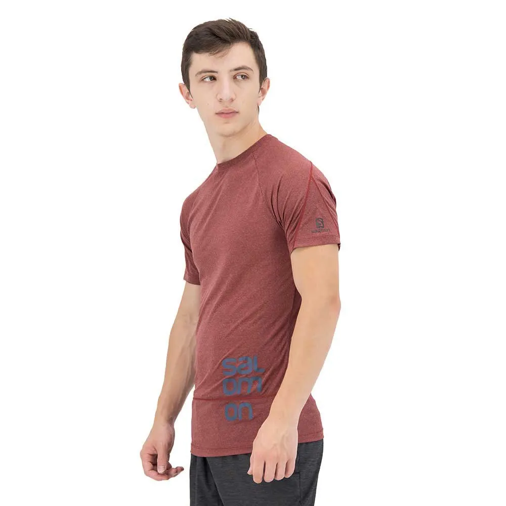 Salomon Cross Run Graphic T-shirt Med Korta ärmar male, Cabernet / dark denim / heather