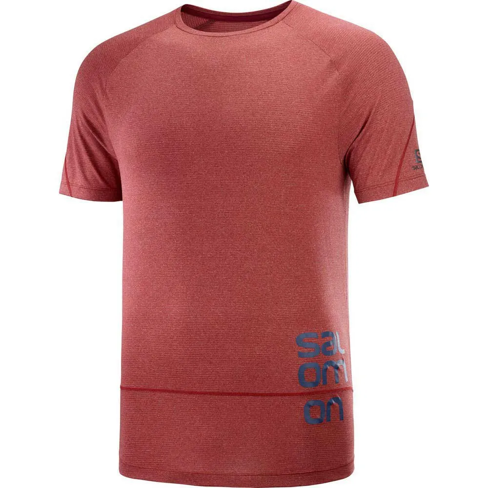 Salomon Cross Run Graphic T-shirt Med Korta ärmar male, Cabernet / dark denim / heather