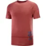 Salomon Cross Run Graphic T-shirt Med Korta ärmar male, Cabernet / dark denim / heather
