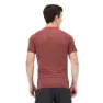 Salomon Cross Run Graphic T-shirt Med Korta ärmar male, Cabernet / dark denim / heather
