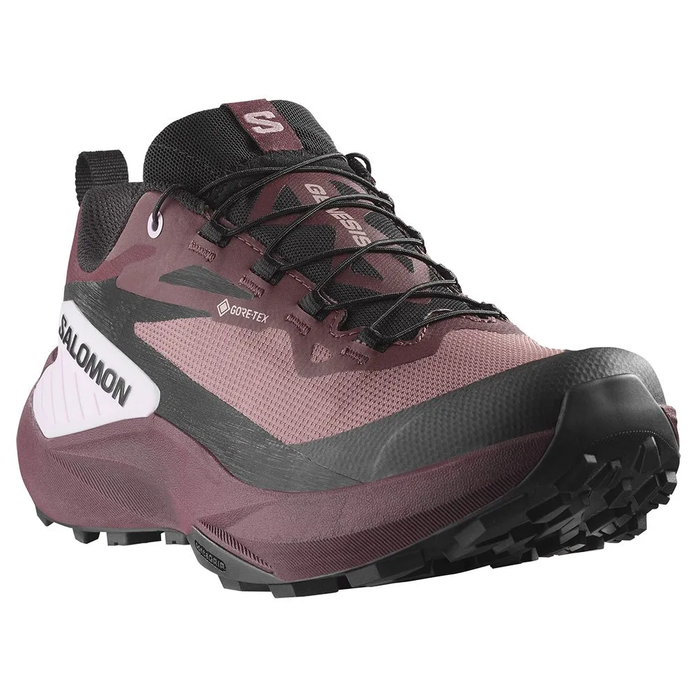 Salomon Genesis Goretex Trailskor male