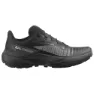 Black / black / ftw silver