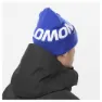 Salomon Hermitage Beanie
