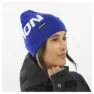 Salomon Hermitage Beanie