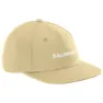 Salomon Logo Flat Cap