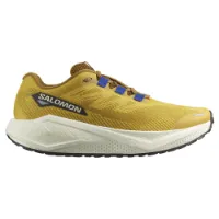 Salomon Men's Aero Blaze 3 Grvl