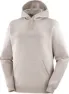 Salomon Men's Big Logo