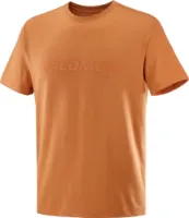 Salomon Men's Big Logo Tee