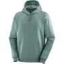 Salomon Men's Logo Pride Hoodie