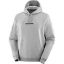 Salomon Men's Logo Pull Over, Heather Grey