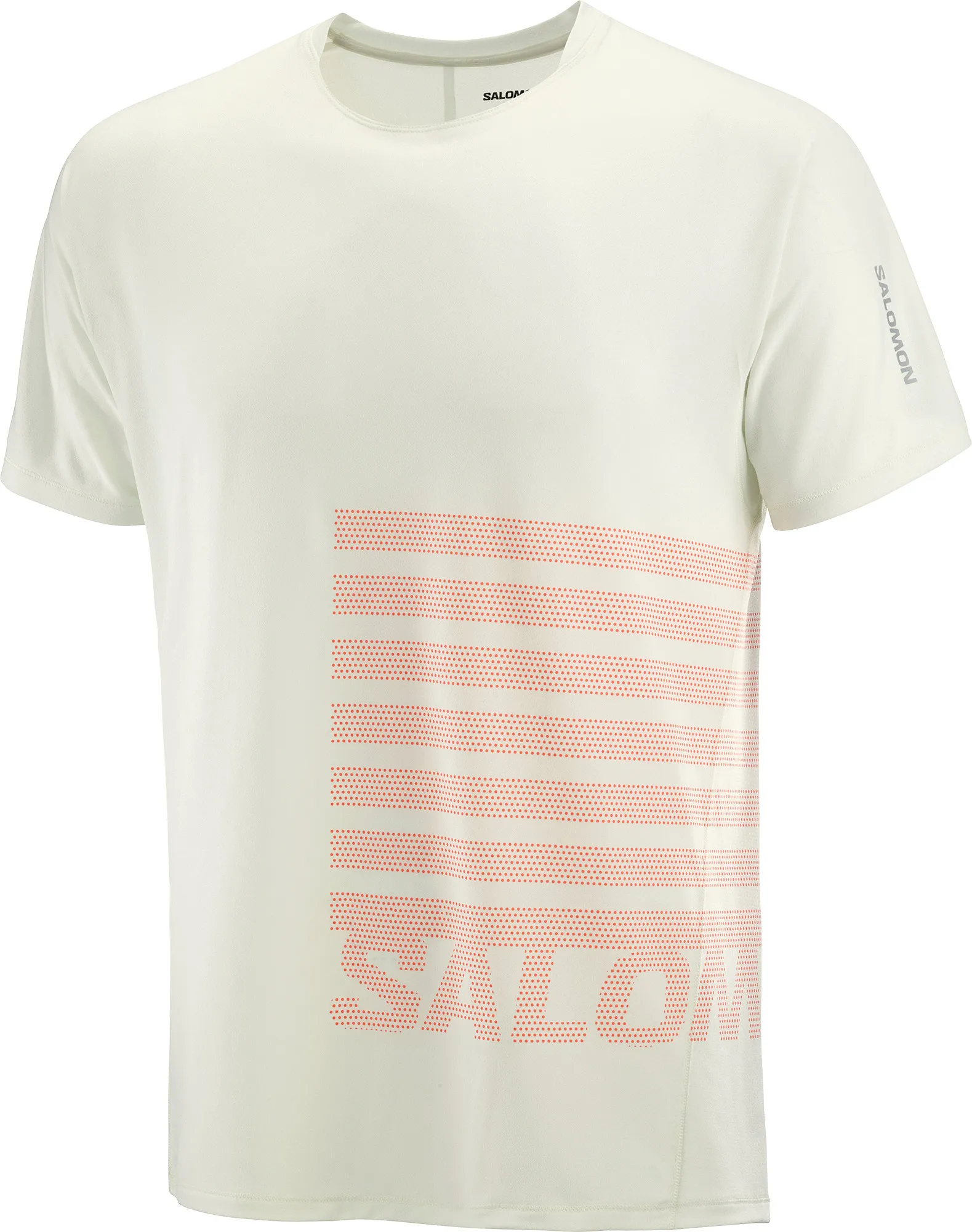 Salomon Men's Sense Aero Graphic Tee GFX, Icicle/Neon Flame/