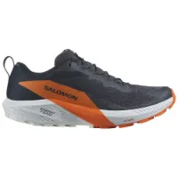 Salomon Men's Sense Ride 5 GORE-TEX