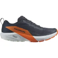 Salomon Men's Sense Ride 5 GORE-TEX Salomon Men's Sense Ride 5 GORE-TEX