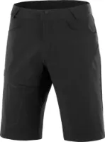 Salomon Men's Wayfarer Shorts