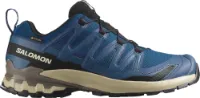 Salomon Men's XA Pro 3D V9 GORE-TEX