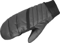 Salomon Mtn Overmitten