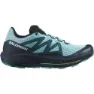 Salomon Pulsar Trail Trailskor male