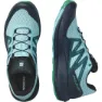 Salomon Pulsar Trail Trailskor male