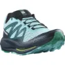 Salomon Pulsar Trail Trailskor male