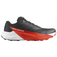 Salomon Pulsar Trailskor male