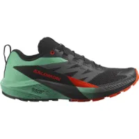 Salomon Sense Ride 5 Shoes